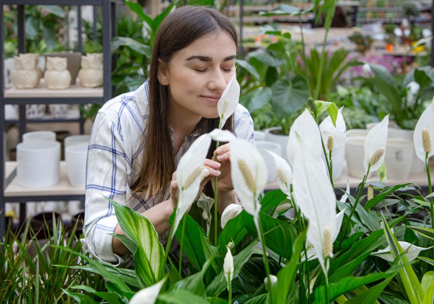 event image:Imatge generada per IA.